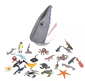 Rhode Island Novelty Shark Head Aquatic Creatures Case, 24-Piece