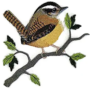 Nature weaved in threads, Amazing Birds Kingdom [Single Carolina Wren Bird ] [Custom and Unique] Embroidered Iron on/Sew patch [5.9"5.4"] [Made in USA]